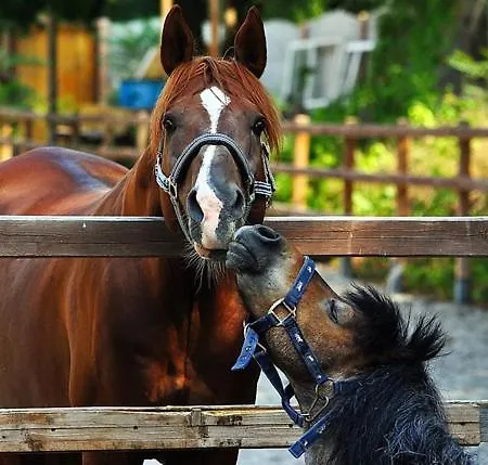 Anthidon Nature Estate & Farm 4*