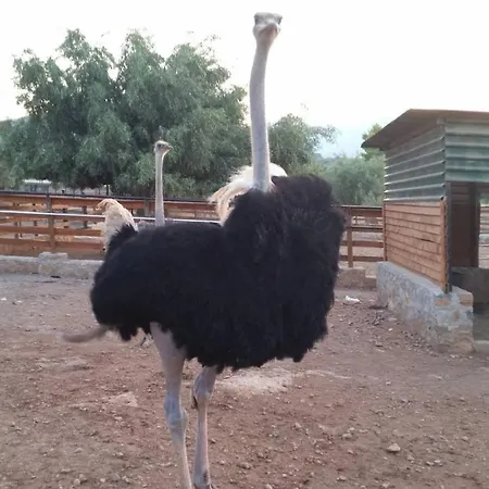 Anthidon Nature Estate & Farm 酒店 Chalkís