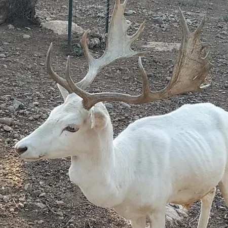 Anthidon Nature Estate & Farm Chalkís